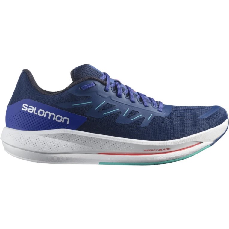 Sapatilhas de Corrida Salomon Spectur Masculino Azuis | PT M08614